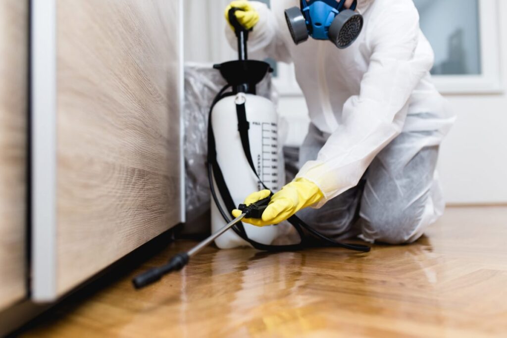 How to Choose Residential Pest Control Services in Sydney