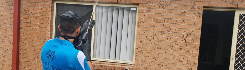 Pest Control Services Sydney: Expert Tips for a Pest-Free Home