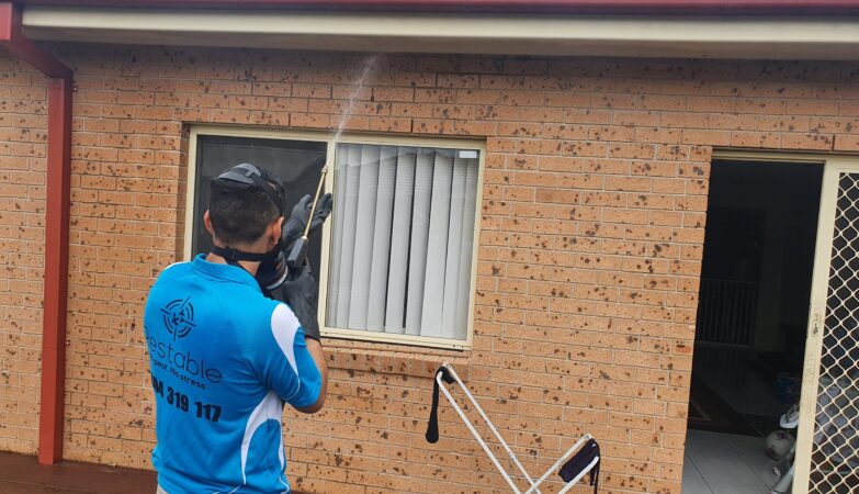 Pest Control Services Sydney: Expert Tips for a Pest-Free Home